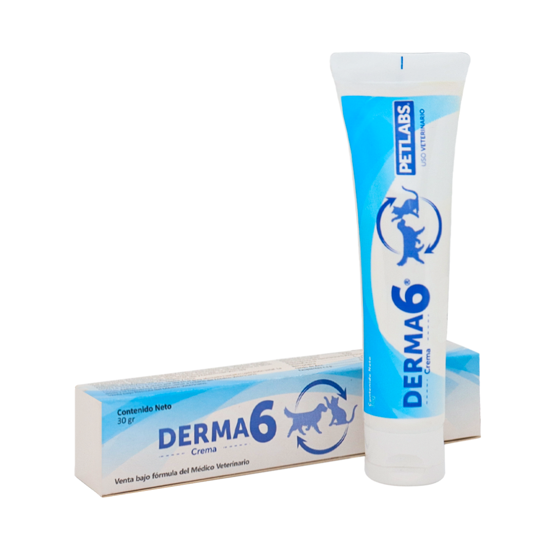 Derma 6 - 1