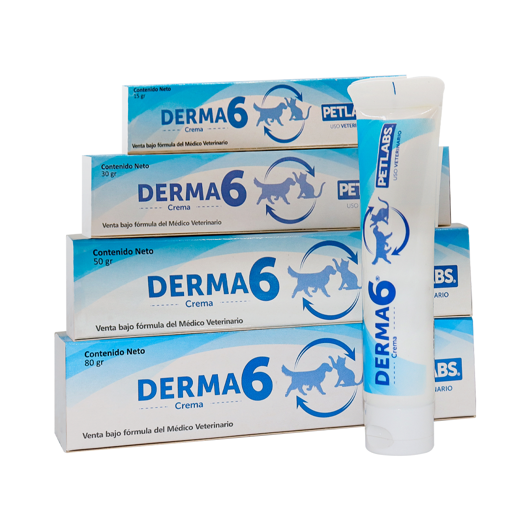 Derma 6 - 6